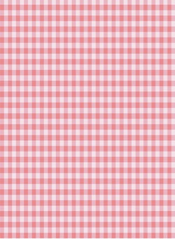 Kickee Pants Cake Pop Gingham