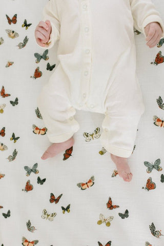 Clementine Kids Girl's Crib Sheet - Butterfly Migration