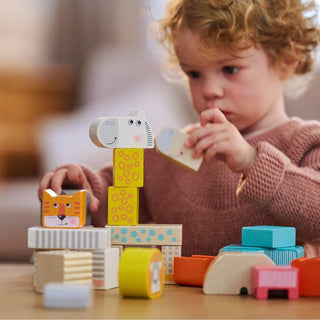 Animal Parade Blocks Stacking & Sorting Building Toys