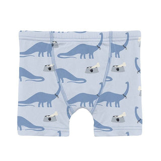 Boy's Print Bamboo Boxer Brief - Dew Pet Dino Toddler Underwear