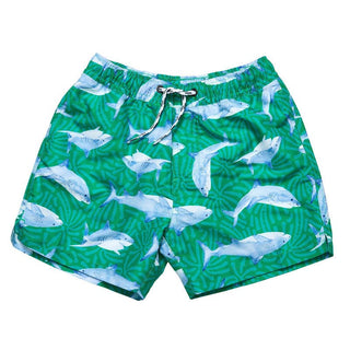 Snapper Rock Boy's Swim Short - Reef Shark