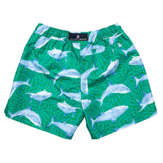 Snapper Rock Boy's Swim Short - Reef Shark