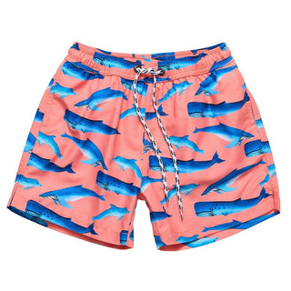 Snapper Rock Boy's Swim Short - Whale Tail