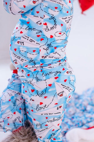 Birdie Bean Boy's Long Sleeve Pajama Set - Liam (Paper Planes)