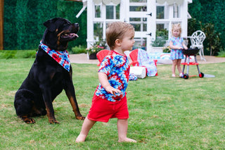 Boy's Bamboo Short Sleeve T-Shirt and Shorts Outfit Set - Maverick (Patriotic Tie Dye) Birdie Bean