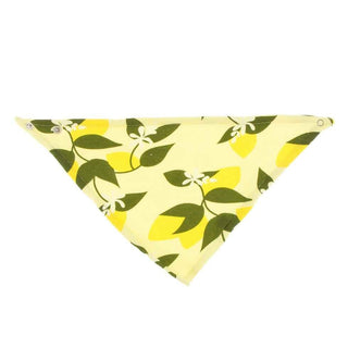 Print Bamboo Bandana Bib - Lime Blossom Lemon Tree, One Size Bibs