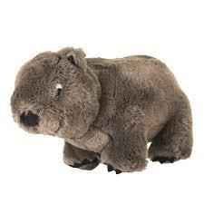 Plush Toy, Perth - Wobble E. the Wombat Push & Pull Toys